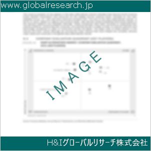 グローバルリサーチ調査資料のイメージ